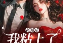 小说《离婚后，我粘上了那位大佬》在线阅读-美妙文学