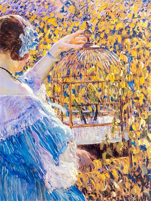 布衣的江湖奇妙游免费阅读，布衣的江湖奇妙游周布衣刘靖