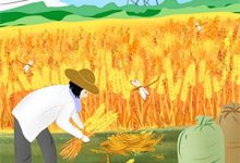 无删减版《靠预知剧情在年代文里零元购》免费阅读-美妙文学