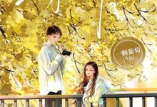 梦中犹是少年游闻笙小说大结局免费试读-美妙文学